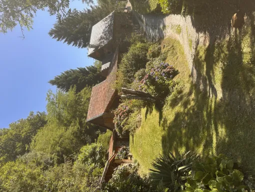 🚧 Réalisation d’un chantier technique en plein cœur des bois à SAINT-GIRONS (09)., Carbonne, Garonne TP